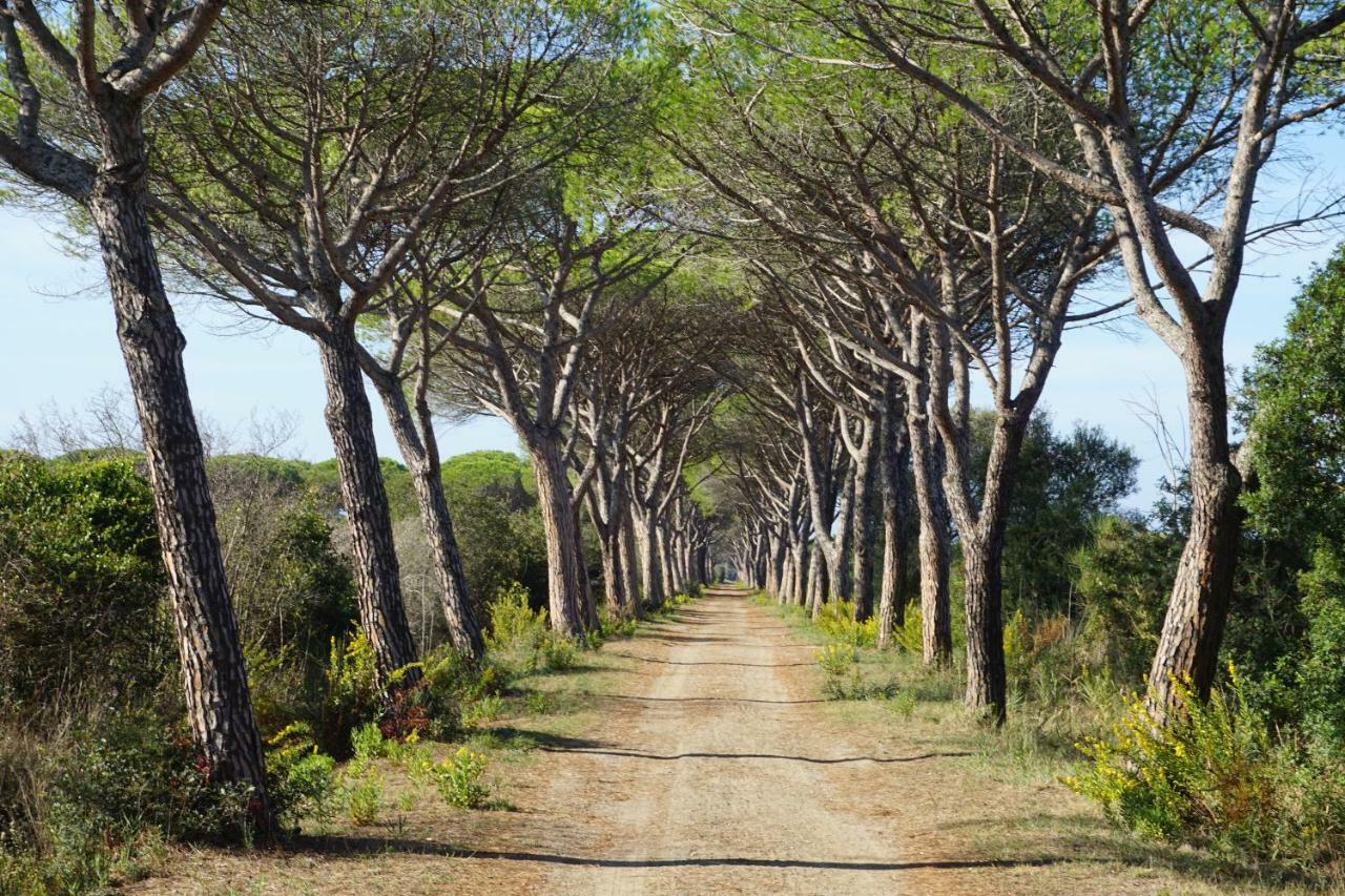 Tenuta San Carlo Hotell Marina Di Grosseto Exteriör bild