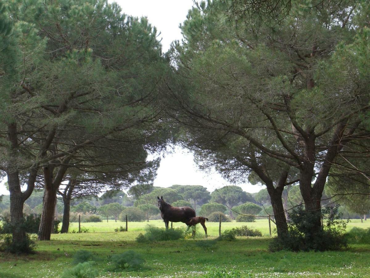 Tenuta San Carlo Hotell Marina Di Grosseto Exteriör bild