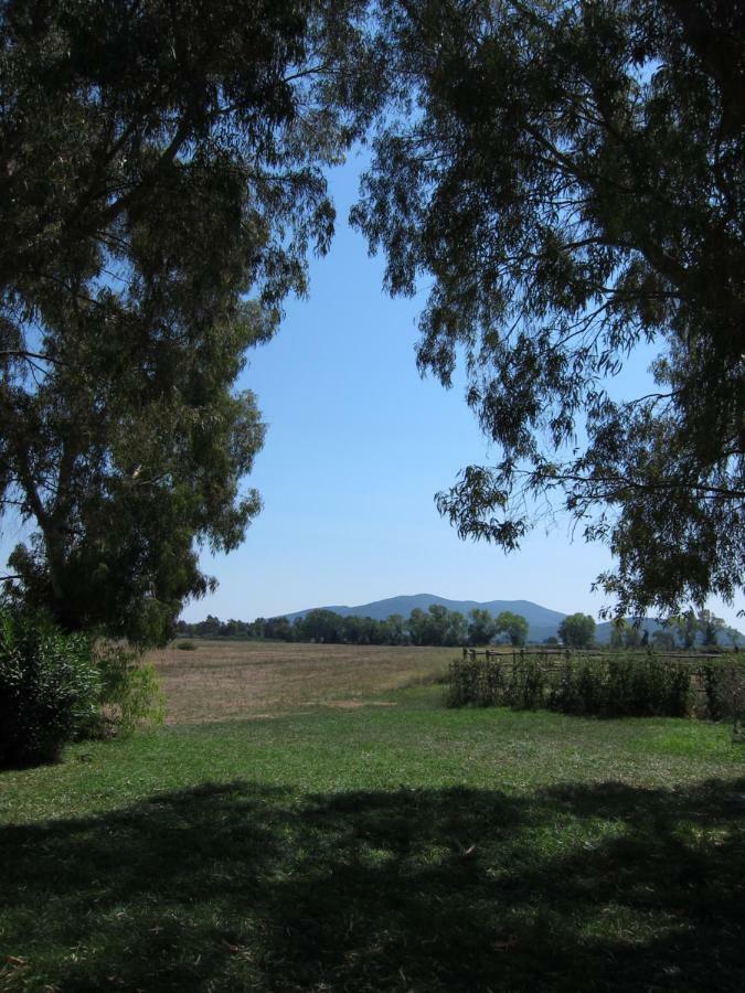 Tenuta San Carlo Hotell Marina Di Grosseto Exteriör bild