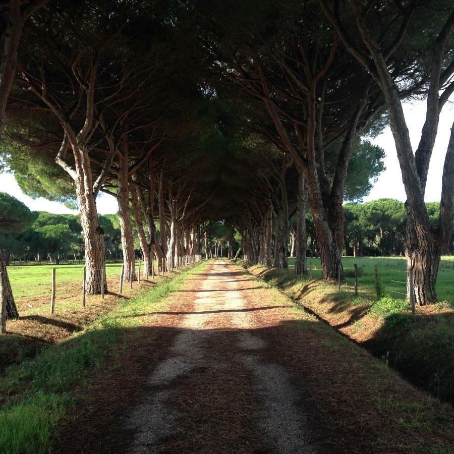 Tenuta San Carlo Hotell Marina Di Grosseto Exteriör bild